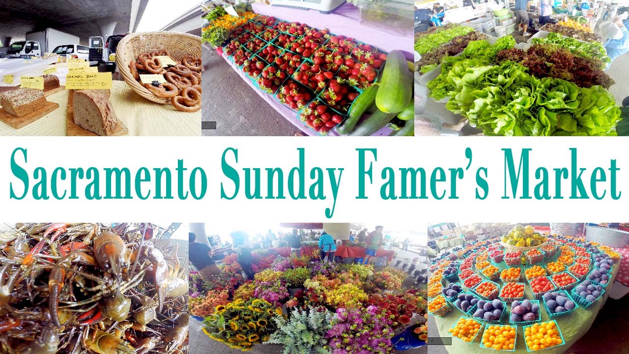 Vlog Ep.8 - AWESOME Sacramento Sunday Farmer