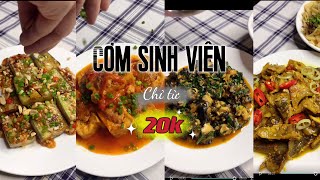 Tổng hợp thực đơn chỉ từ 20k dành cho sinh viên P3 | Cáo Food Boy