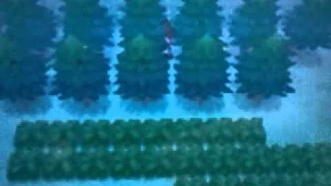 ポケモン Bw バグ
