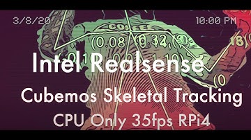 Depth Camera Central Volume 17: Cubemos Intel Realsense Skeletal & Body Tracking SDK Review