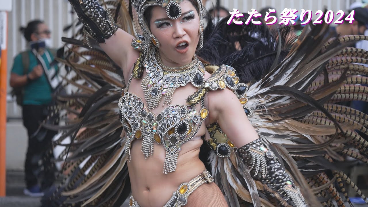 サンバエロ画像 
