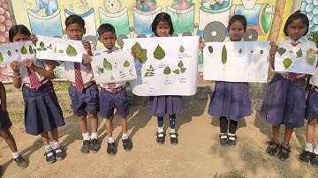 Evs project#different types of leaves#plants world#importance of plants# project by kids