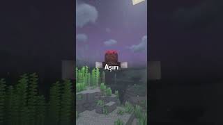 Minecraft Dünyasi Kaç Li̇ra Eder?