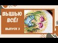 Вышить всё \ КУБИК полюбил 4 / Вышивка крестиком