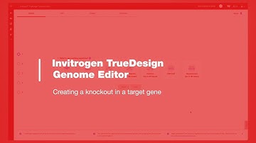 Invitrogen TrueDesign Genome Editor: Creating a knockout in a target gene