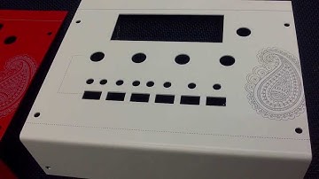 Shruthi Screen Print