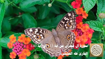 طه الفشني - سورة آل عمران من آية 113 إلى آية 140 - لَيْسُوا سَوَاءً