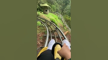 Thỏa mãn đam mê tốc độ với xe trượt xuyên rừng dài nhất Đông Nam Á tại Thác Datanla, Đà Lạt