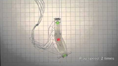 Design of a 3D-Printed Soft Robot with Posture and Steering Control