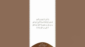 تلاوة في دقيقة سورة النجم الآيات من ٢٧ إلى ٢٨ الشيخ فيصل غزاوي