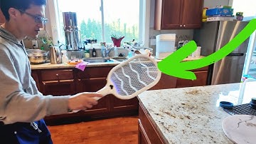 Buzzkick 3500V Electric Fly Swatter Racket with Mosquito Light | Rechargeable Bug Zapper Review