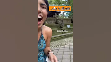 قرد سافل وقليل الادب 