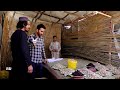 Shewaki Famous Mulberry In Hafiz Amiri Report توت شیوه کی در گزارش حفیظ امیری 