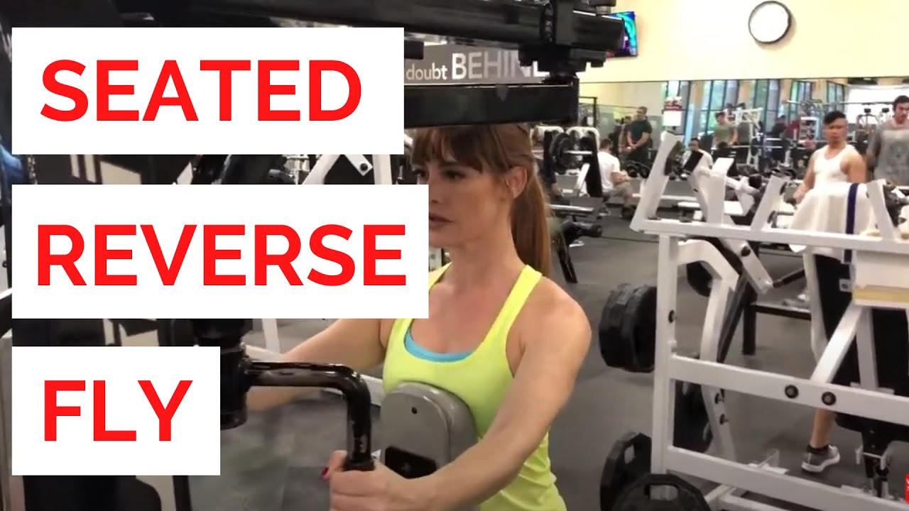 Seated reverse dumbbell fly instructions and video