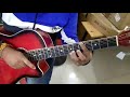 Dolphin guitar  rdx music store indore  best guitar shop in indore  visit today 9074419099