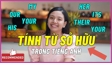 TÍNH TỪ SỞ HỮU: Trọn Bộ Kiến Thức và Bài Tập Đầy Đủ Nhất | Ms Thuỷ KISS English