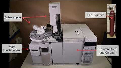 Gas chromatography mass spectrometry