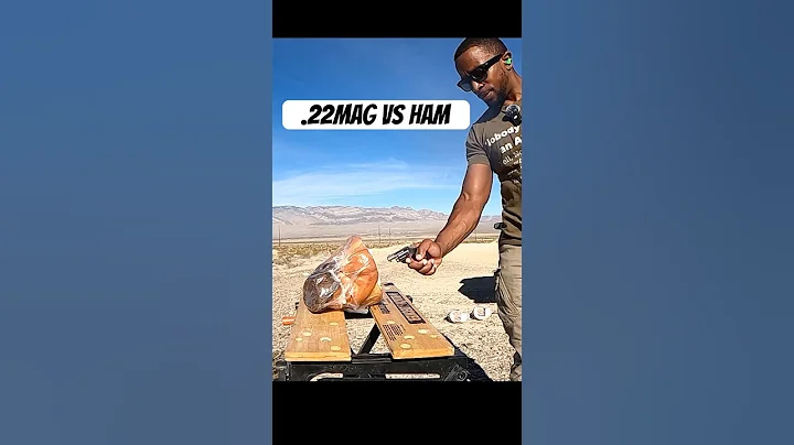 How Effective Is a .22 Mag NAA Mini Revolver for Self-Defense?