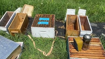 Making splits with swarm cells