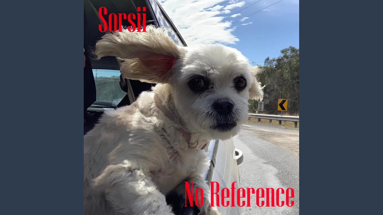 No Reference - YouTube