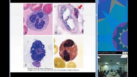 Cells and Tissues of the Immune System (Christina ...