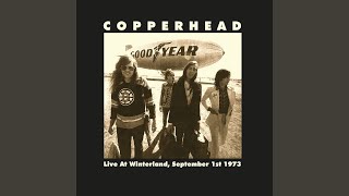 Video thumbnail of "Copperhead - Wrong Time"