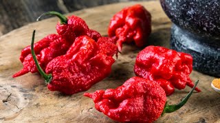 These Are The Absolute Spiciest Foods From Around The World