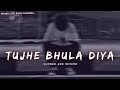 Tujhe bhula diya  slowed and reverb  mohit chauhan  lofi songs  indian lofi song channel