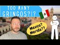 Are there TOO MANY EXPATS in Merida and Mexico?