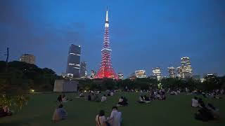 4K・ Evening to night walk at Daimon and Tokyo tower (with stairs)・4K HDR