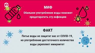 Факты и мифы о коронавирусе