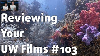 Reviewing YOUR UNDERWATER FILMS #103 ⎮ Benjamin Wong