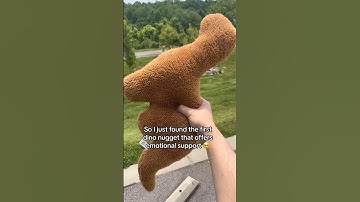 Cuddles from my nugget keeps me happy 😊 #shorts #fyp #fypシ #plushies #dinonuggets