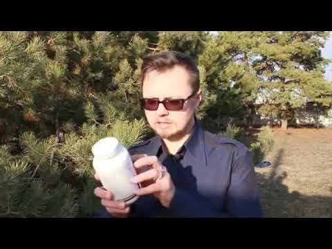 📹 Коралловый Клуб, Парафайт. - YouTube