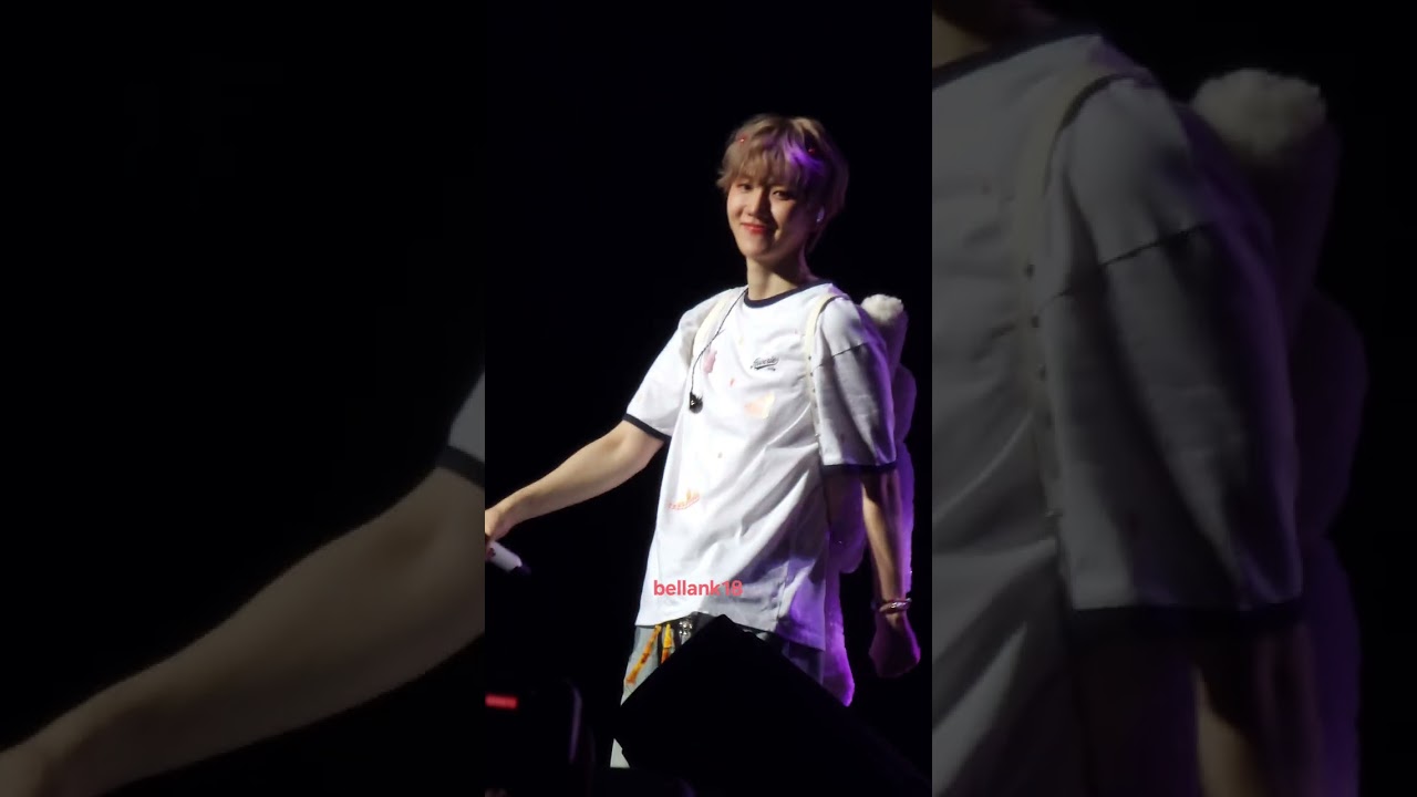 250628 BAEKHYUN (Amusement Park w/ end goodbyes) 'Reverie Tour Sugarland