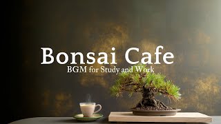 Lofi Japanese Music｜Study / Work｜Concentration / Relaxation with Bonsai［1hour］