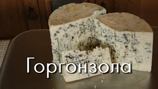 Горгонзола - сыр с голубой плесенью своими руками