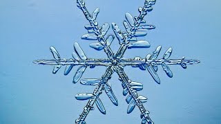 Snowflake Formation