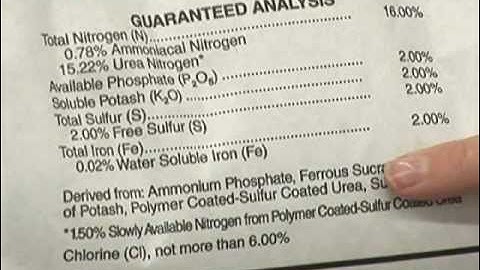 Fertilize in the Fall for a Healthy Lawn