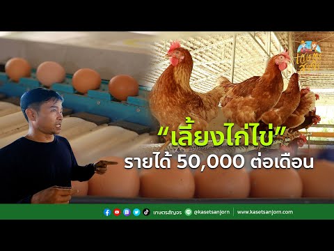 “เลี้ยงไก่ไข่” รายได้ 50,000 ต่อเดือน รวมทุกเทคนิคที่นี่ที่เดียว | เกษตรสัญจร