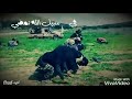 حالات وتس اب الجيش السوري الحر في سبيل الله نمضي ونجاهد حالات وتس اب الجيش السوري الحر في سبيل الله نمضي ونجاهد