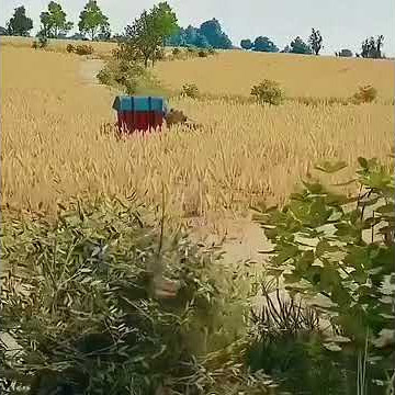 funny moment PUBG for status WA