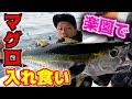 南国の海中に浮かぶ魚の楽園"パヤオ"でマグロが釣れまくる⁉︎