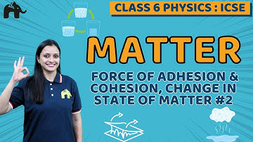 Matter Class 6 ICSE Physics Chapter 1 | Force of Adhesion& Cohesion, Change in State of Matter #2