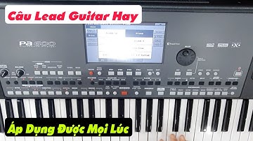 Intro Guitar Lead Chacha | Mẹo Đệm Hát