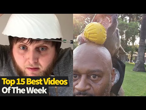 Top 15 Best Videos Of The Week #9