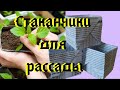 Стаканчики для рассады из бумаги🌱