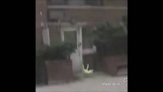 Kermit The Frog Jumps Off Building.