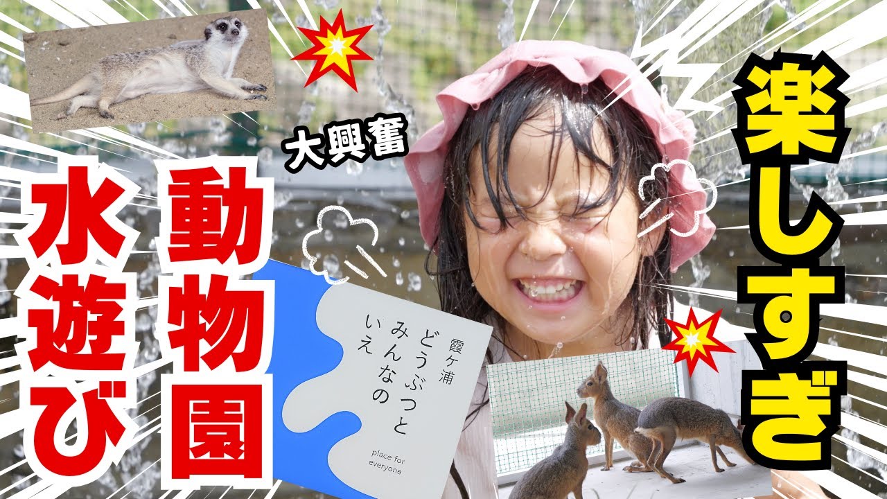 行方市のNew動物園に行ったはずがまさかのびちょ濡れに！？【霞ヶ浦どうぶつとみんなのいえ】