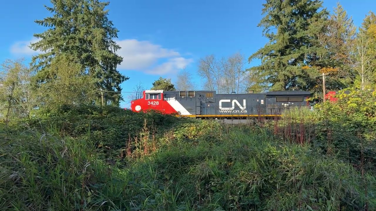 Stopping!!! CN 809 (Grain Train) @ Burnaby BC Canada 19OCT25 AC44C6M 3428 Leading